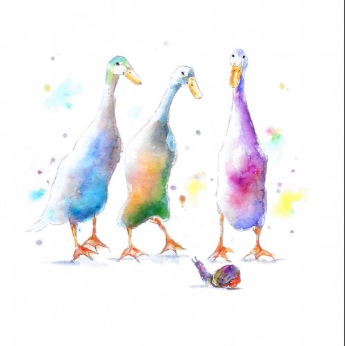 greeting, card, watercolour, birthday, art, Indian Runners, get well soon, blank inside, birthday illustration, snail, garden, animals, birds,cute, ducks, fine art, contemporary, artist