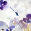 Pretty Petals £1.75 dragonfly, pretty, beautiful, flowers, card for her, female, mother, mum, sister, aunt, daughter, wife, female, happy birthday, thank you, greetings, love, friendship, cute, for sale, blank inside, beautiful, designer, quality,