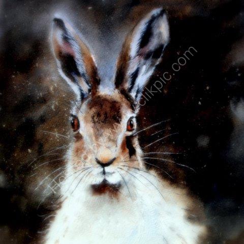 greeting, card, watercolour, moonlit, hare, cute, art, celebration, anniversary