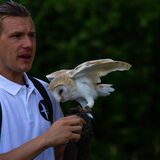 Luke of Wye Valley Falconry