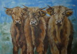 3 Highland youngsters