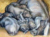 A pile of piglets 2