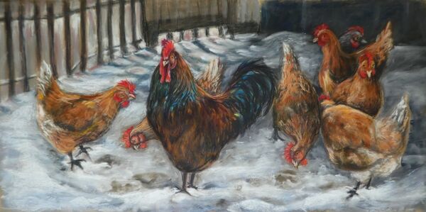 Chickens in the snow
