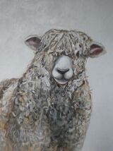 A Devon and Cornwall Longwool sheep