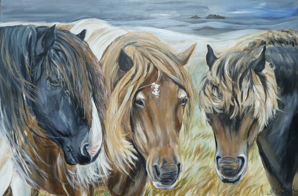 Dartmoor Wanderers