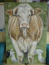 Simmental Steer with Seagulls