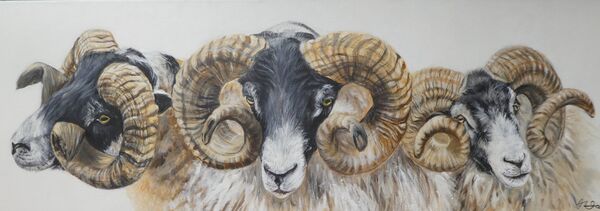 Three Rams