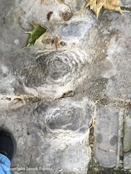 Calthemite deposit in Coventry