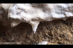 Research image - lime mortar calthemite, Carew Castle, Pembroke
