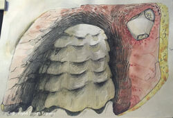 Research Drawing for Calthemitic Sticky Thinking MA Contemporary Art and Archeaology project