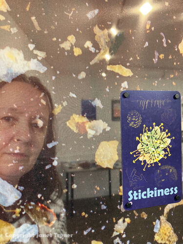 Stickiness Card and image of calthemite fragments printed on voile