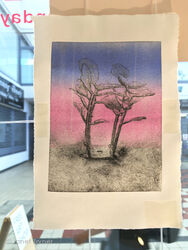 <em>Apocolyptic tendencies of hedges</em> Viscosity drypoint, 2022