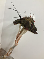 If fieldfares don't drop cotoneaster berries then no more cotoneaster berries for fieldfares