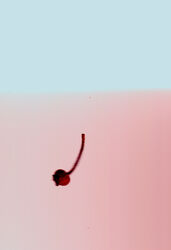 Hip Spring Sunny 2020