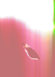 Magnolia Spring Cloudy 2020