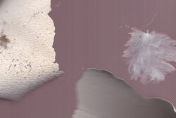 Cracks in the moon and aliens in the sand