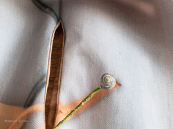 Mapping Sloughing - detail