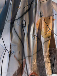 Mapping Sloughing - detail