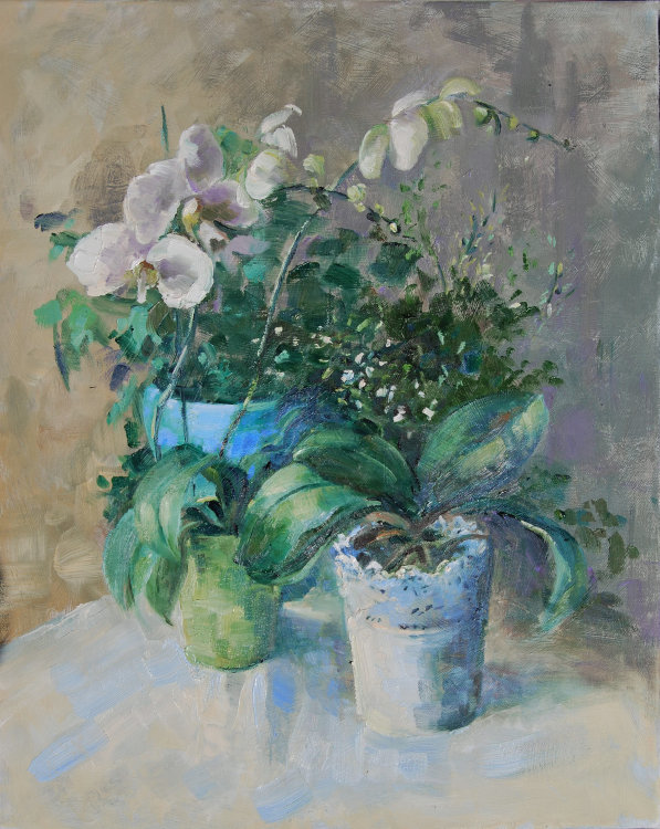 Potted winter plants