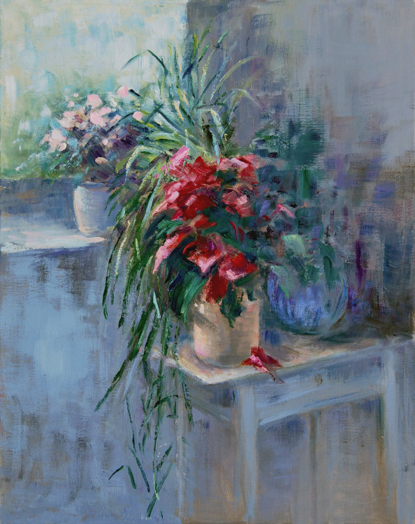 Christmas rose by the window