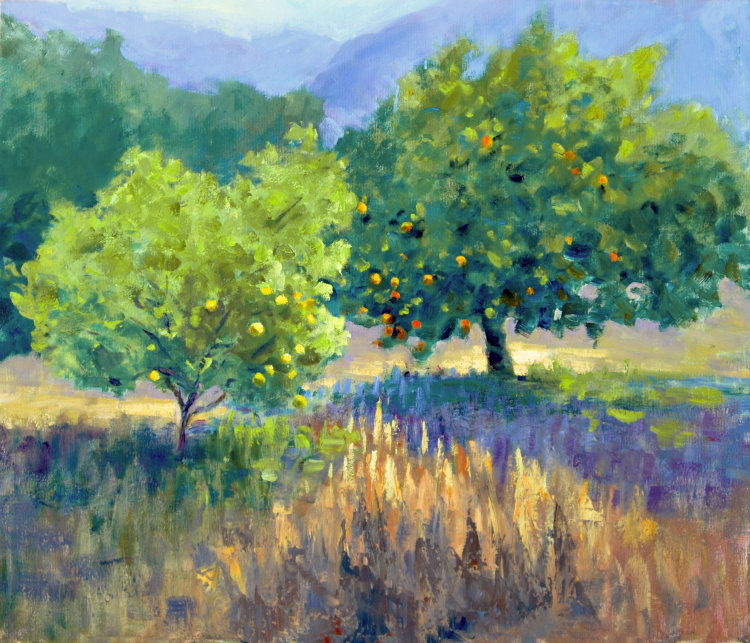 Orange grove in Neapoli