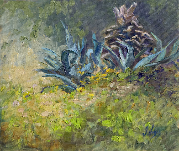 Corner of neglected garden