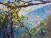 Autumn Vine in Tessin