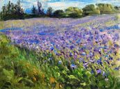 Field of Thistle, Nach nr Lottstetten