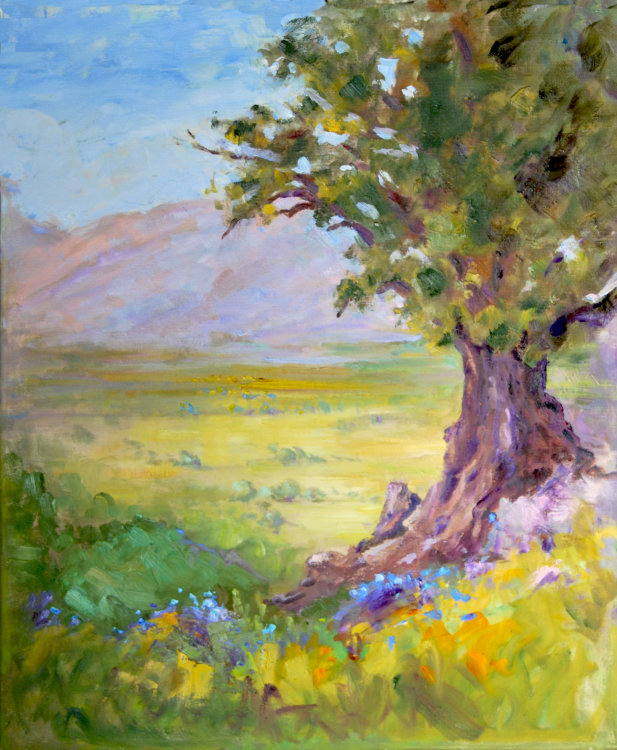 Old oak tree above Catharo Plateau