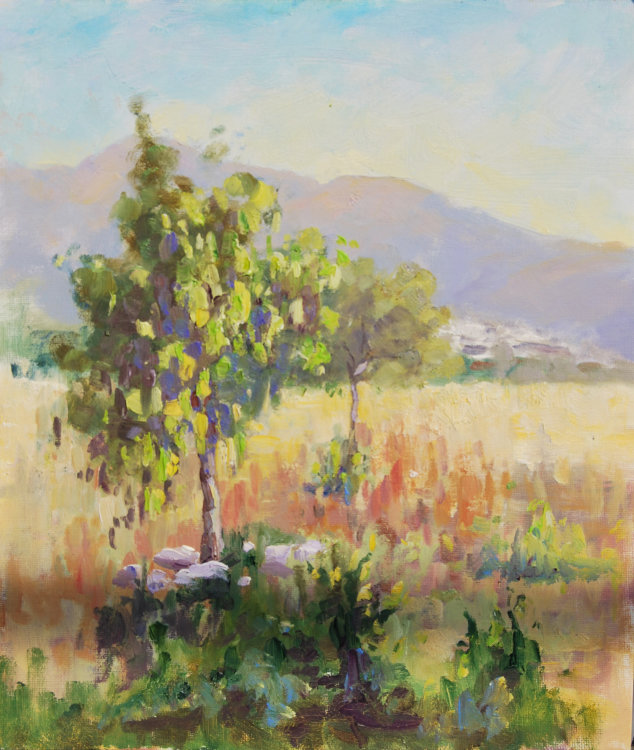 Late afternoon sun in Malia