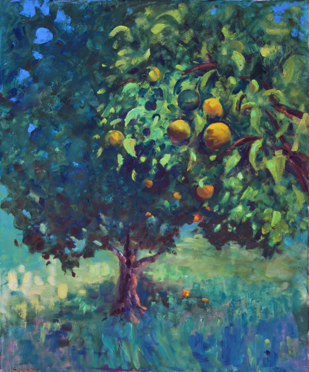 Orange grove