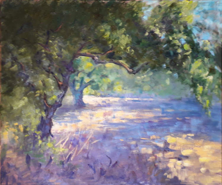 Shady olive grove