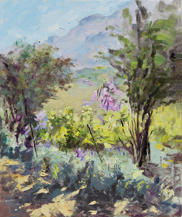 Sunlight on the vines - Catharo