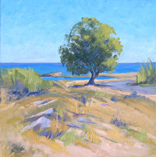 Tamarisk tree, Malia, Crete.