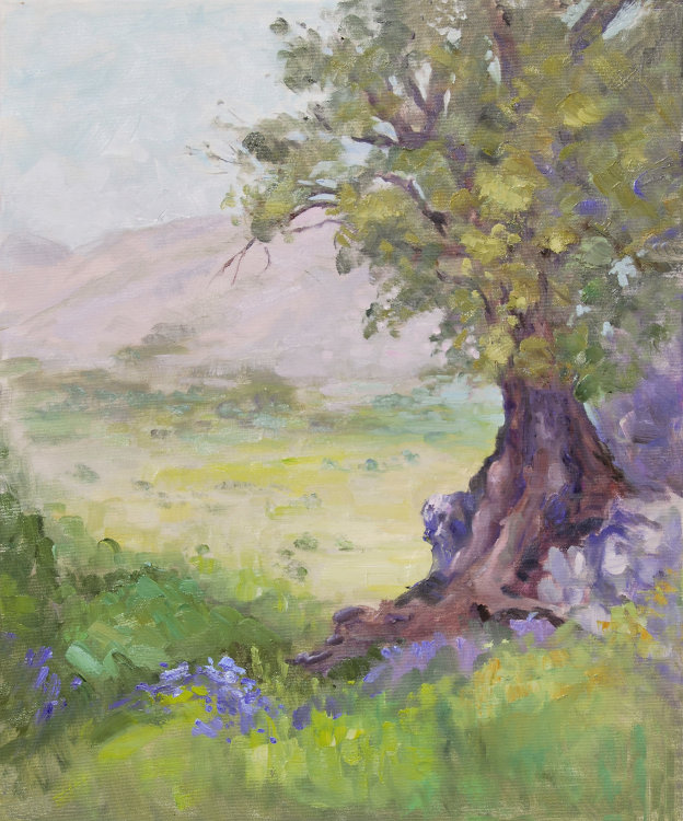 Oak tree over the plain