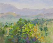 View over Lassithi plateau Crete