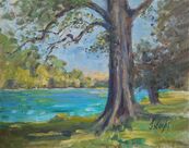 By the river in Balm, Lottstetten