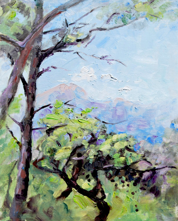 View through the pine trees