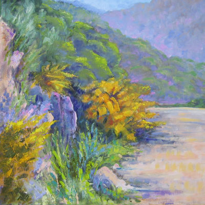 Gorse bushes on the Road to Nofalias