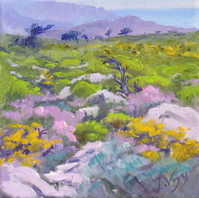 Towards Catharo Plateau