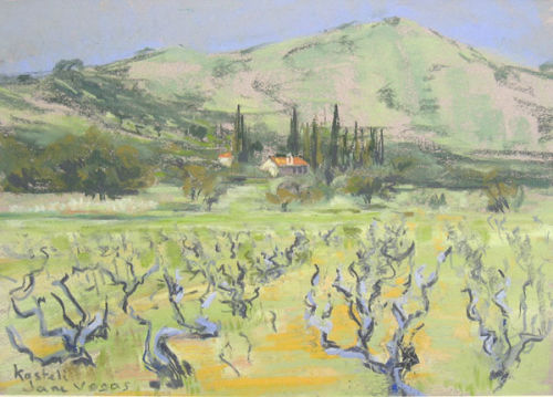 Kastelli Vineyards.Crete