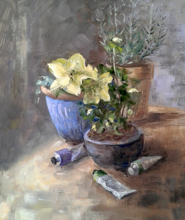 Paints and potted plants