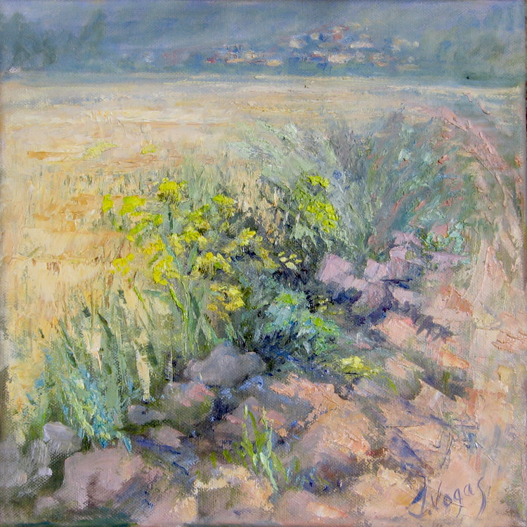 Rocky Path with Wild Fennel