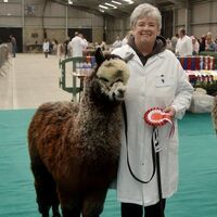 CCA show 176