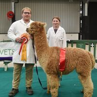 CCA show 904