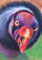 `Who`s a Pretty Boy then ?`