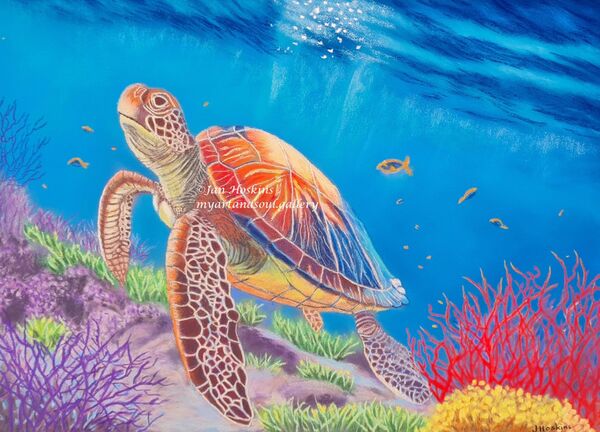 `Ocean Wanderer`
