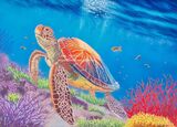 `Ocean Wanderer`
