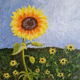 `Sunflower Splendour`