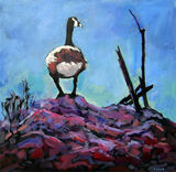 Sentinel 18x18 Acrylic